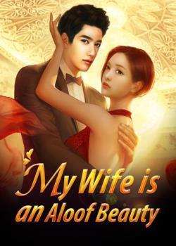 My Wife is an Aloof Beauty-Novel2